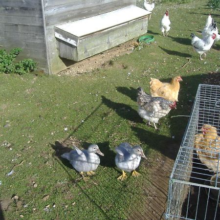 스카버러 South Moor Farm B&B 외부 사진