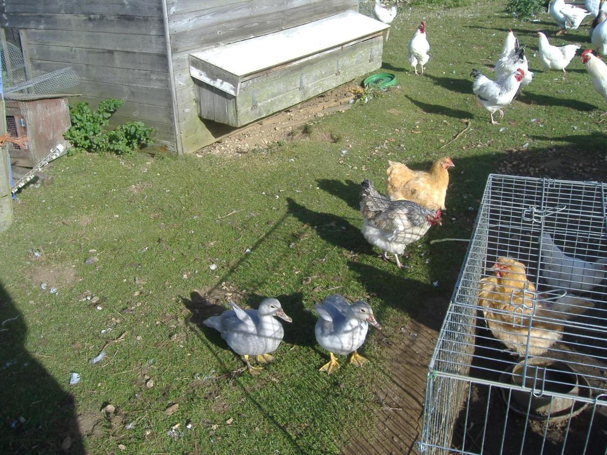 스카버러 South Moor Farm B&B 외부 사진